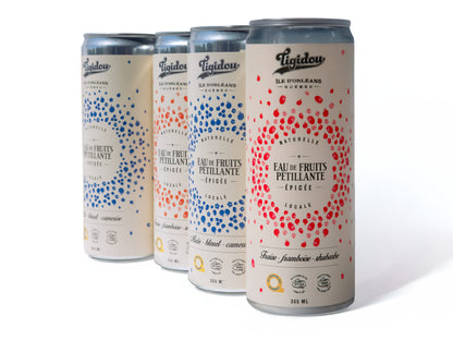4 Pack - Eaux de fruits pétillantes épicées